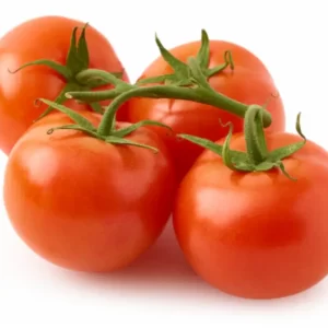 VINE TOMATO