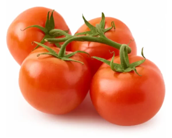 VINE TOMATO