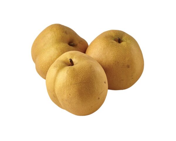 ASIAN PEAR