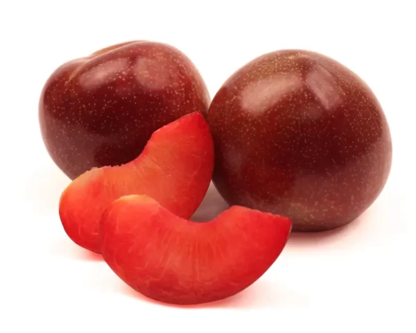 PLUMCOT