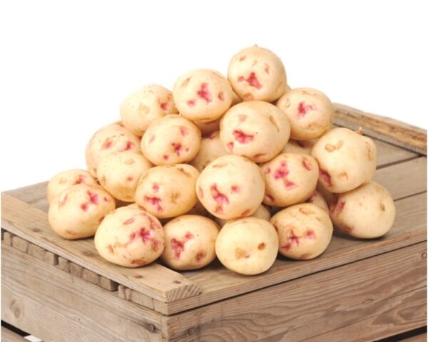 WARBA POTATOES MINI