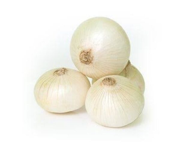 WHITE ONIONS