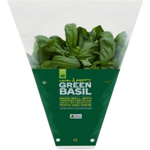 Basil Bunch