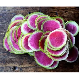 WATERMELON RADISH