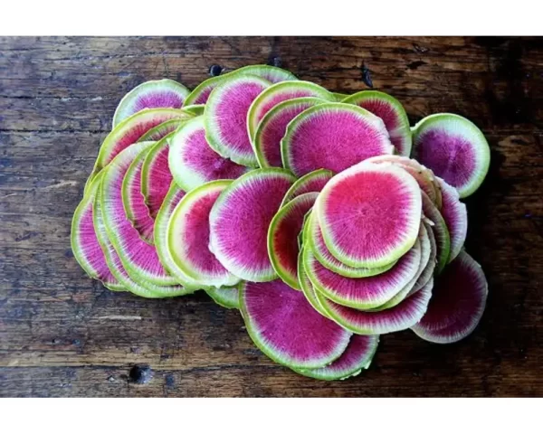 WATERMELON RADISH