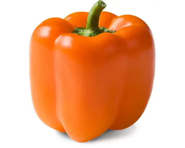 ORANGE BELL PEPPER