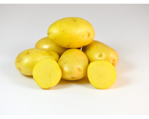 YELLOW POTATO