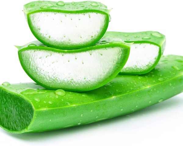 ALOE VERA LEAVES