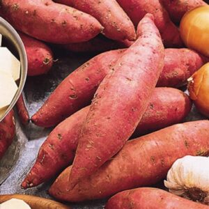 RED SWEET POTATO