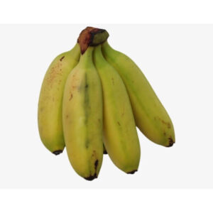 Banana BURRO