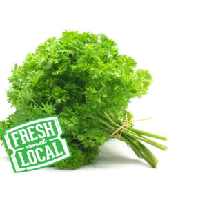 Parsely Curly