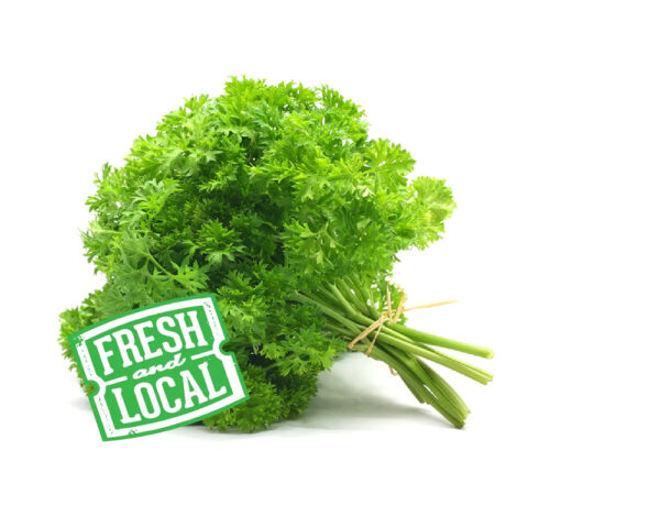 Parsely Curly