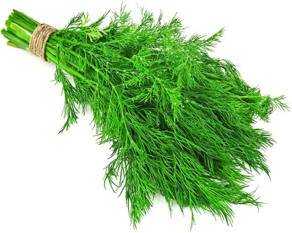 Dill bunch