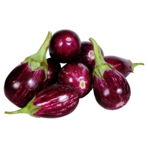 EGGPLANT INDIAN