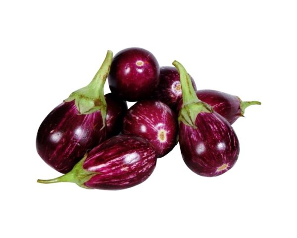 EGGPLANT INDIAN