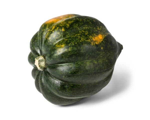 Acorn Squash