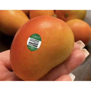 MANGOES, SUGAR