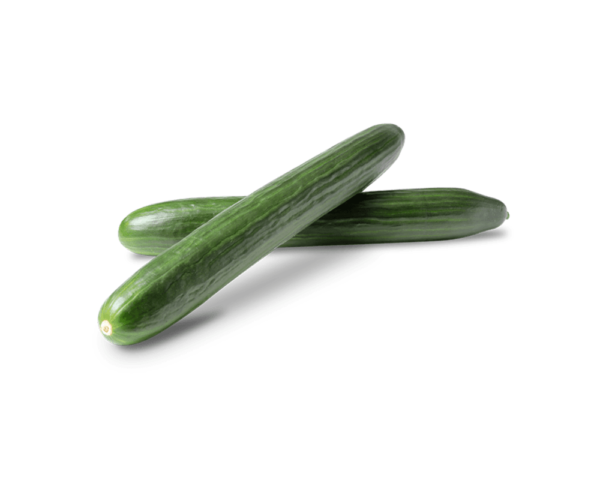 LONG ENGLISH CUCUMBER