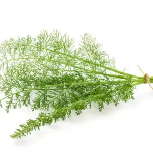Dill