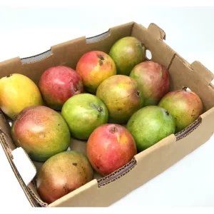 MANGO, KENT/HADEN CASE