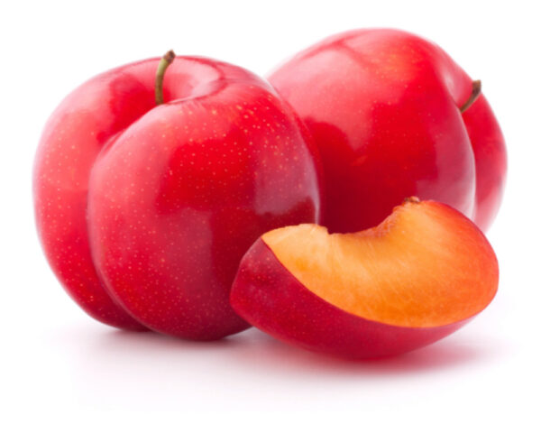 RED PLUM