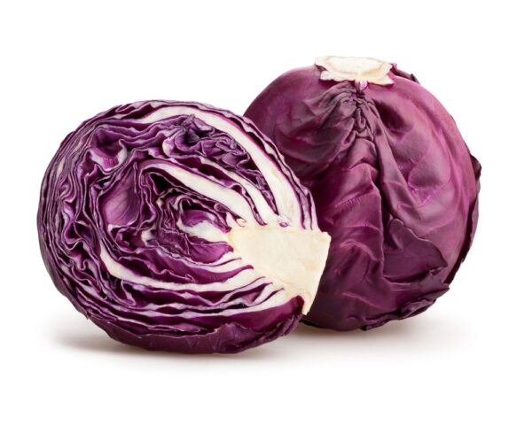 RED CABBAGE