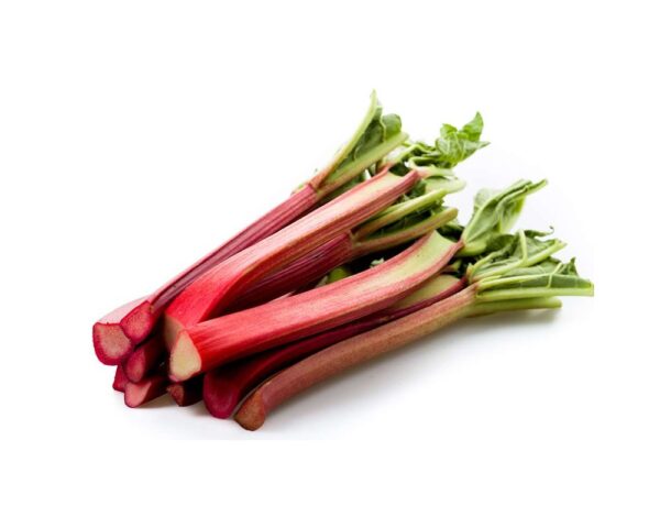 RHUBARB FRESH