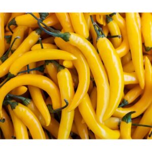 YELLOW CHILI PEPPER