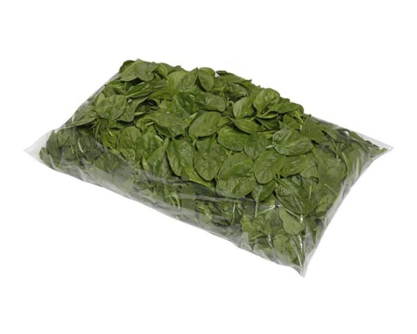 PACKAGED SPINACH 2.5lb