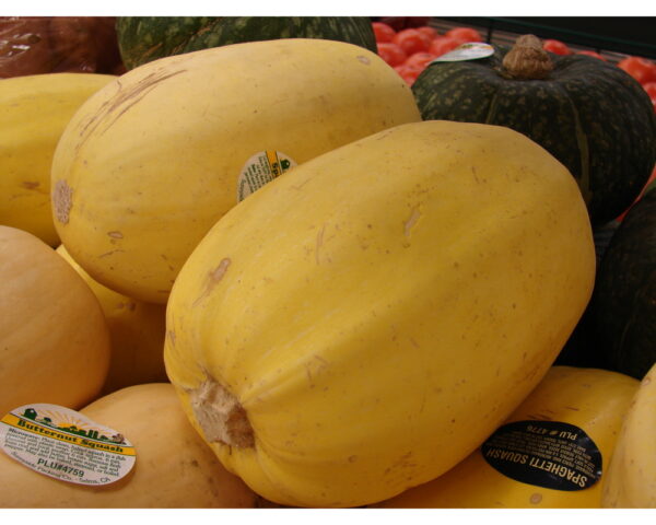 Spaghetti Squash