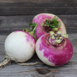 Turnips (Purple)