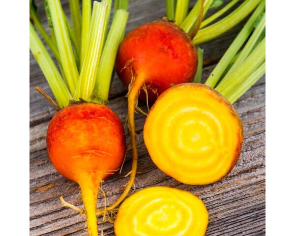 Golden Beets