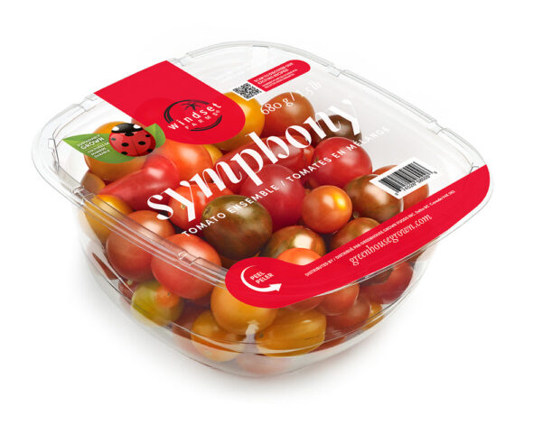 TOMATO SYMPHONY 1 PNT