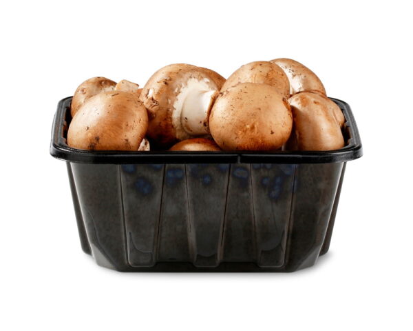 MUSHROOM BROWN WHOLE CDN