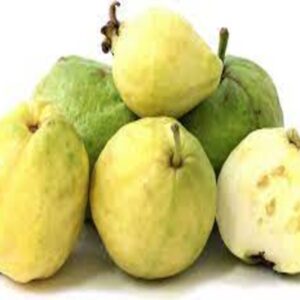 MEXICAN GUAVA