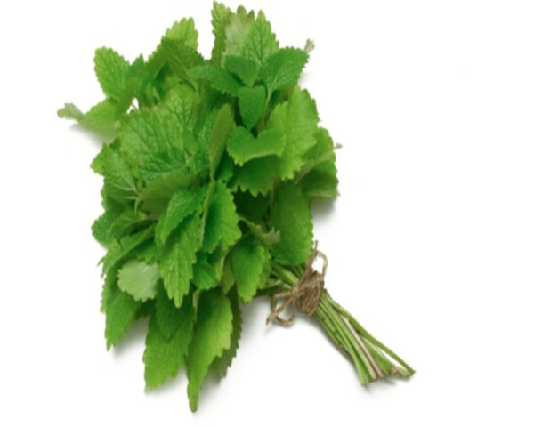 Mint Bunch