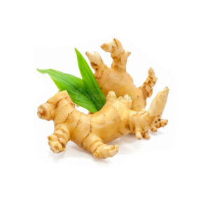 GINGER ROOT ORGANIC