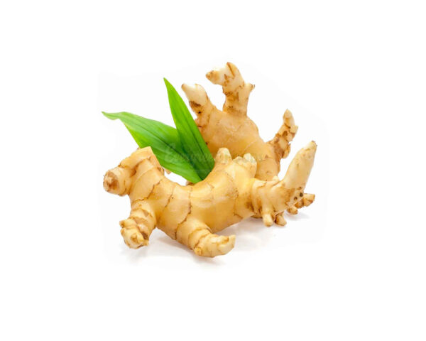 GINGER ROOT ORGANIC