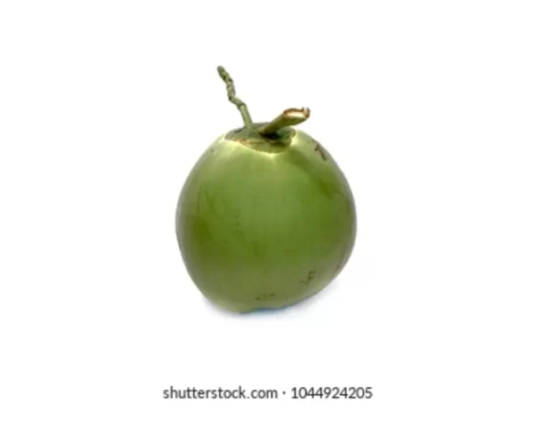 COCONUT WHOLE - YOUNG