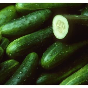 ORG GROWN RAB LG CUCUMBER