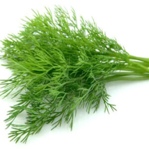 DILL BUNCH