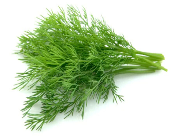 DILL BUNCH
