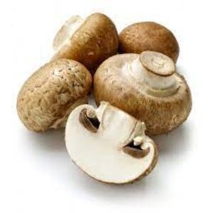 Brown Cremini Mushroom BC