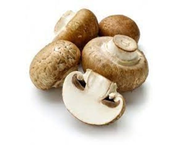 Brown Cremini Mushroom BC