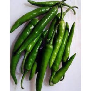 LONG GREEN CHILLI PEPPER