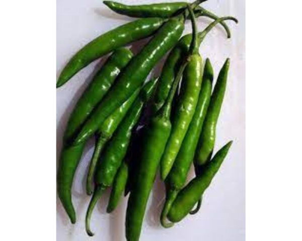LONG GREEN CHILLI PEPPER