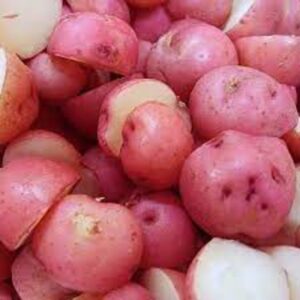 Bulk Baby Red Potatoes