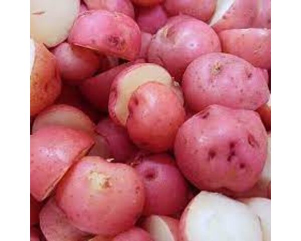 Bulk Baby Red Potatoes