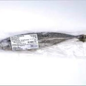 FRZ HORSE MACKEREL