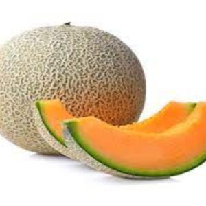 CANTALOUPE